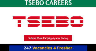 Tsebo Careers