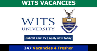 Wits Vacancies